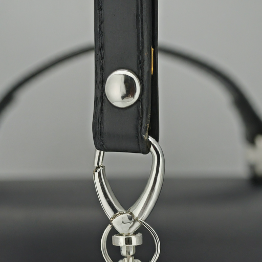 Keychain Hook for Purse