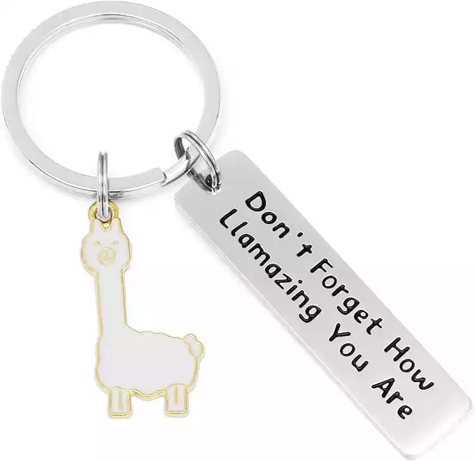 Llama Keychain for Women - Stainless Steel Key Ring